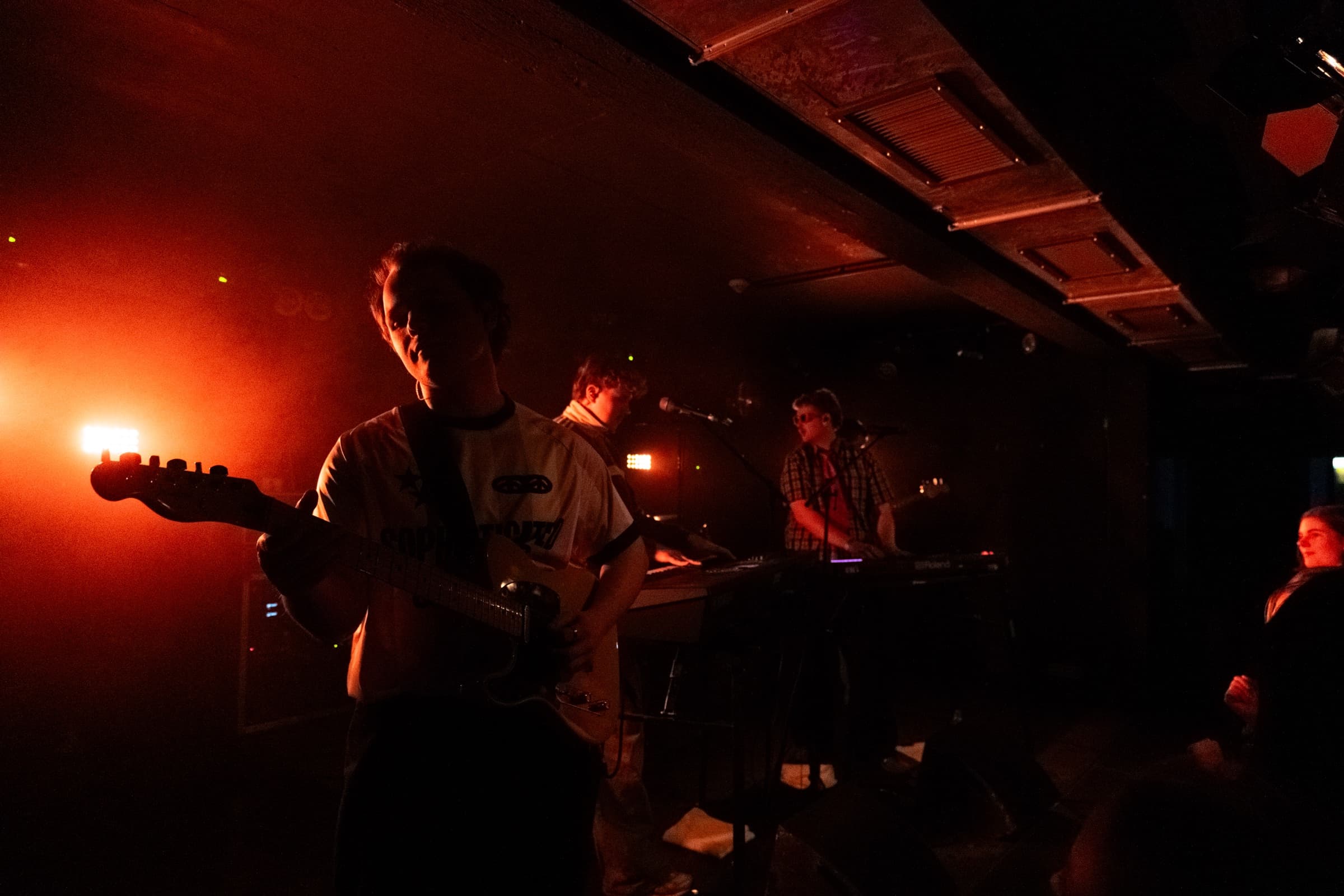 Rosmarin - Bild 7